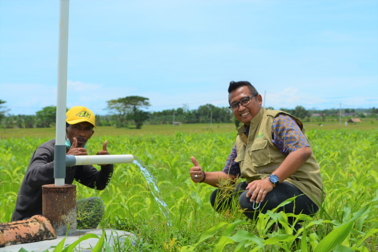 Puluhan Hektar Sawah Beralih Pakai Listrik PLN, Petani di Lampung Selatan Bisa Raup Untung Maksimal