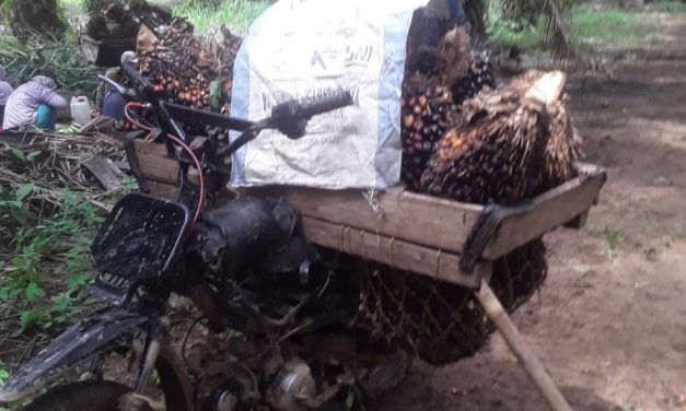 Babak Baru Persengketaan Tanah Di Pesisir Barat