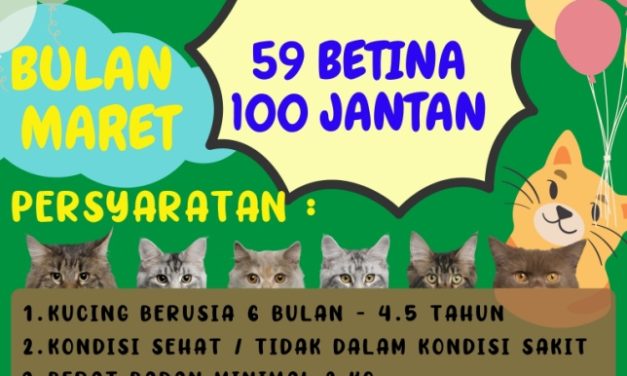 Program Steril Gratis Kucing Domestik dalam rangka menyambut HUT Provinsi Lampung yang ke-59