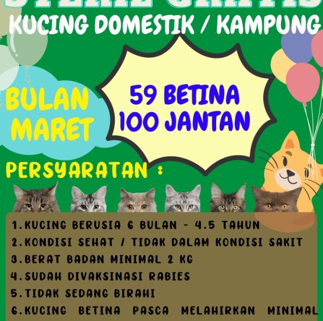 Program Steril Gratis Kucing Domestik dalam rangka menyambut HUT Provinsi Lampung yang ke-59