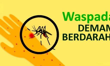 Waspada! Ada Peningkatan Kasus DBD di Bandar Lampung